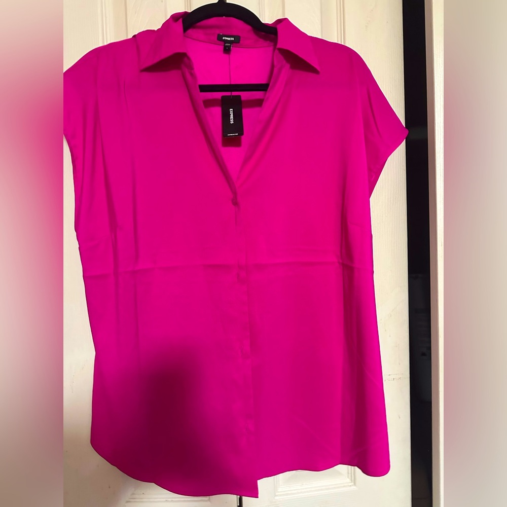 Brand new large pink blouse from express